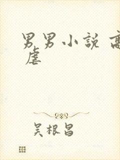 男男小说 高h 虐