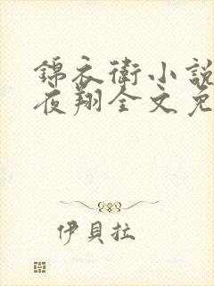 锦衣卫小说非天夜翔全文免费阅读封面