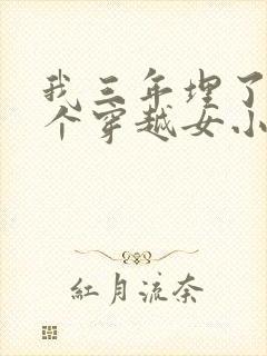 我三年埋了99个穿越女小说