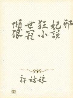 倾世狂妃邪王狠狠宠小说封面