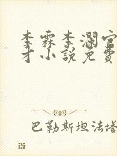 李霖李澜官场奇才小说免费阅读