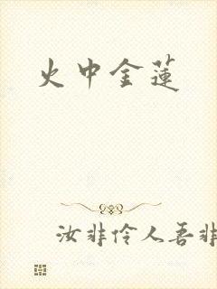 火中金莲封面
