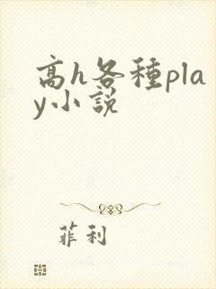 高h各种play小说