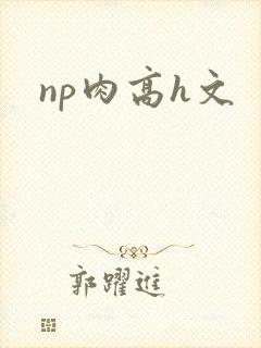 np肉高h文封面