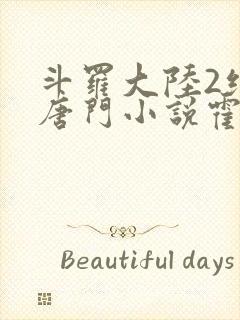 斗罗大陆2绝世唐门小说霍雨浩封面