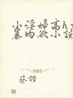 小淫妇高h文黄暴肉欲小说