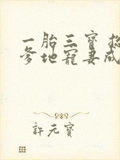 一胎三宝 总裁爹地宠妻成瘾封面