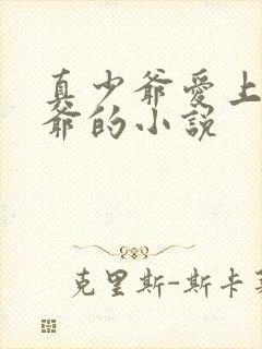 真少爷爱上假少爷的小说