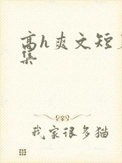 高h爽文短篇合集
