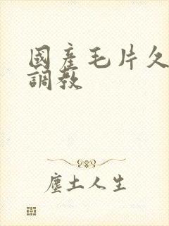 国产毛片久久久调教