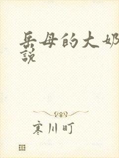 岳母的大奶子小说