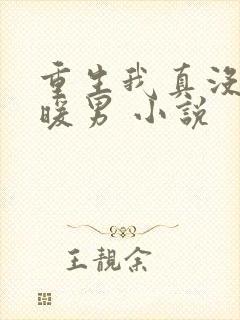 重生我真没想当暖男 小说封面