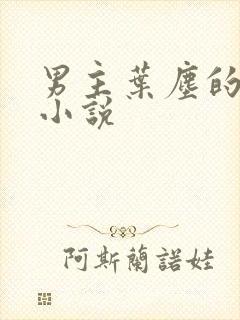 男主叶尘的玄幻小说封面