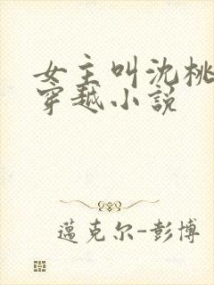 女主叫沈桃桃的穿越小说