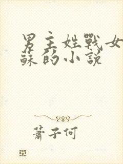 男主姓战女主姓苏的小说