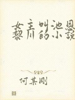 女主叫池恩宁楚黎川的小说