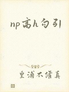 np高h勾引