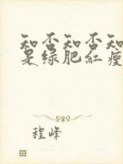 知否知否知否应是绿肥红瘦dvd版在线观看