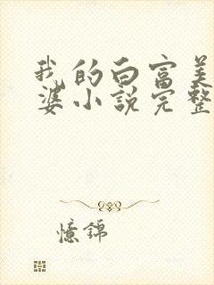 我的白富美的老婆小说完整版封面