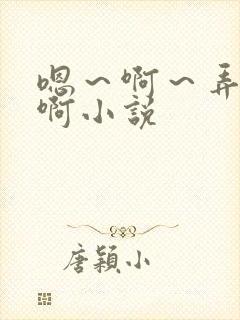 嗯～啊～弄嗯～啊小说封面