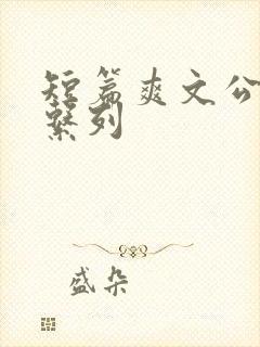 短篇爽文公交车系列封面