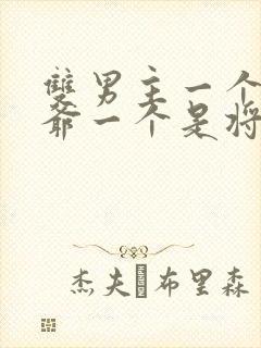 双男主一个是王爷一个是将军