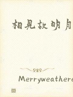 相见故明月封面