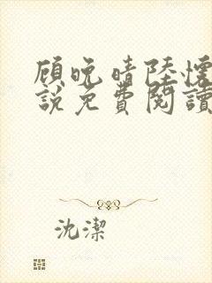 顾晚晴陆怀铮小说免费阅读最新章节