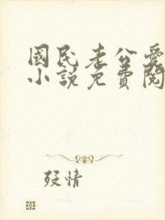 国民老公爱上我小说免费阅读