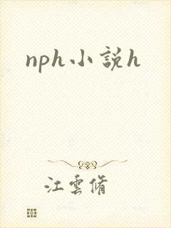 nph小说h