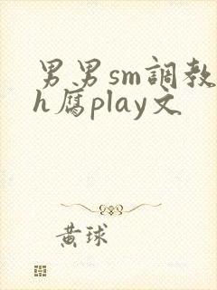 男男sm调教高h腐play文