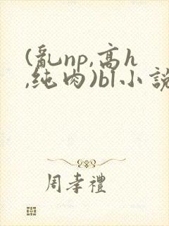 (乱np,高h,纯肉)bl小说