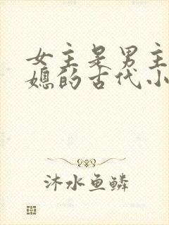 女主是男主的弟媳的古代小说