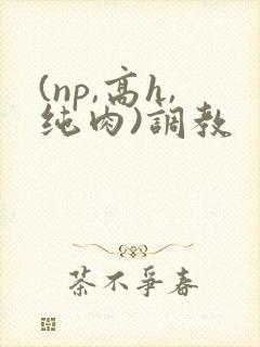 (np,高h,纯肉)调教