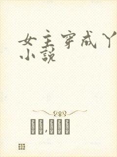 女主穿成丫鬟的小说