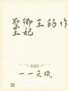 圣卿王的作妖小王妃