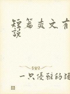 短篇爽文有声小说