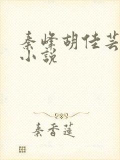 秦峰胡佳芸周茜小说封面