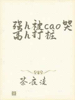 强h被cao哭高h打桩封面