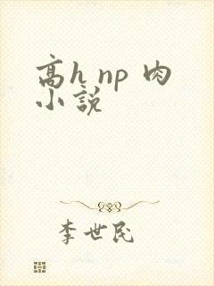 高h np 肉小说