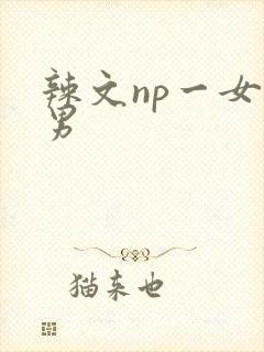 辣文np一女多男