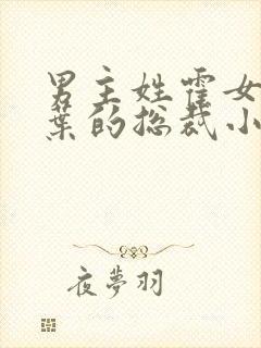 男主姓霍女主姓叶的总裁小说