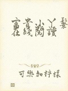 富贵小丫鬟小说在线阅读封面