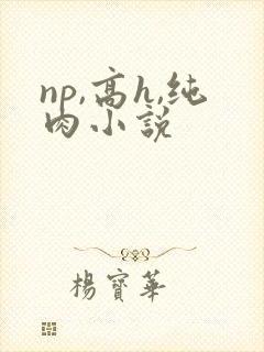 np,高h,纯肉小说