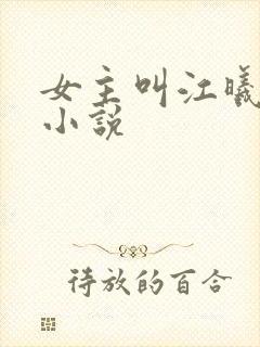 女主叫江曦月的小说封面