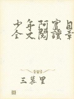 少年阿宾目录及全文阅读章节