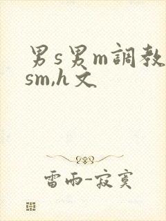 男s男m调教(sm,h文封面