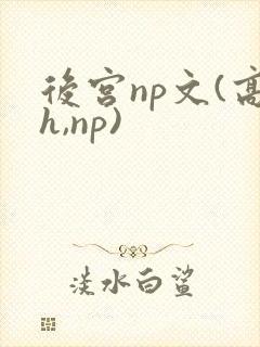 后宫np文(高h,np)