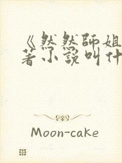 《然然师姐》原著小说叫什么封面