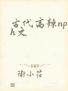 古代高辣np肉h文封面